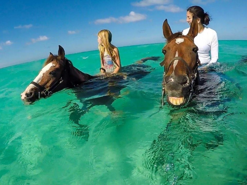 A mother and daughter who are enjoying the experience swim with horses in Paros