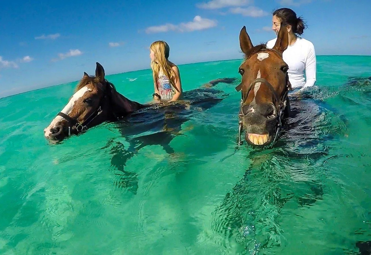 A mother and daughter who are enjoying the experience swim with horses in Paros